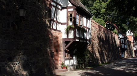 Nationales Naturmonument, die ehrwürdigen 1000jährigen Ivenacker Eichen, eine kultur- und naturhistorische Besonderheit